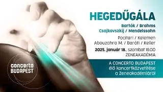 Hegedűg&aacute;la &ndash; a Concerto Budapest hangversenye