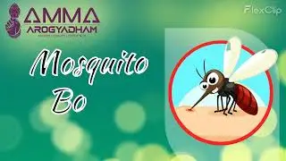 Mosquito borne diseases | AMMA LABS | AMMA AROGYADHAM | AMMA MEDMART