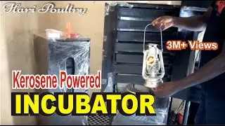 Standard Kerosene Powered Incubators for Sale