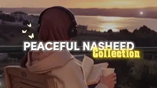Peaceful Islamic Nasheed Collection🌻✨ || Soul-Calming & Heart-Touching 