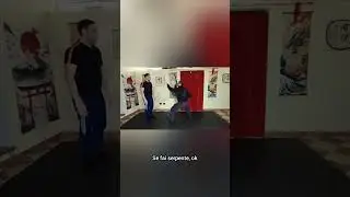 Animali del Kung fu 