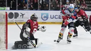 Souhrn 39. Kola Extraligy 25/26