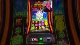 Yaamava&rsquo; Casino jewel of the dragon valley of the tiger