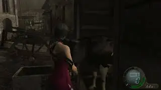 Ada Vs Cow