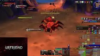Fankriss the Unyielding - Warrior POV | World of Warcraft Vanilla