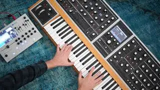 Moog One 16 granular jam