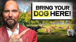 Downtown Toronto Dog Parks You MUST Visit | Dog Parks Ep 2