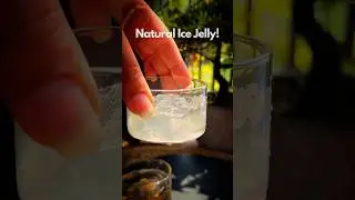 Natural Ice jelly #gondkatira #heat #saturday #drinks #hydration