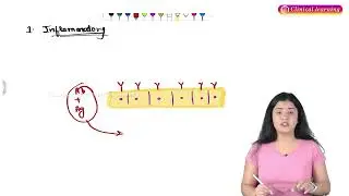 Types Of Hypersensitivity: Pathology Hindi Lecture