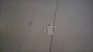 Static paper ghost