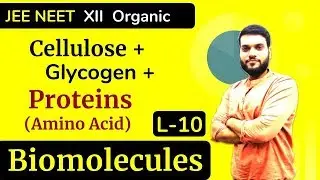 (L-10) Cellulose + Glycogen + Proteins (Intro of Amino Acids) || Biomolecules || JEE NEET