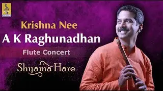 Krishna Nee | a flute concert by A.K.Raghunadhan | Shyama Hare