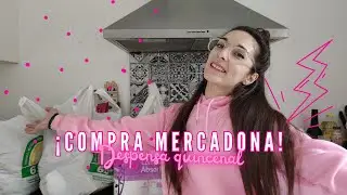 🛍️​🛒​COMPRA de DESPENSA en MERCADONA 🛍️​🛒​ //🫧​🧽PRODUCTOS de ​LIMPIEZA🫧​🧽​