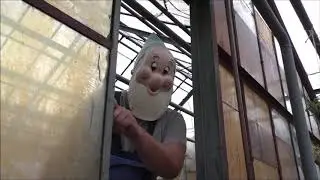 Tomatenchallenge 2020