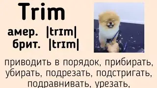 Picture dictionary/визуальный словарь👉trim