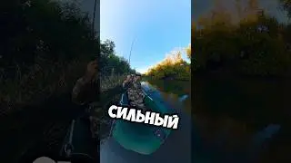 ЧТО-ТО САДАНУЛО!!! 🔥👍💪 #ловлярыбы #рыбалка #спиннинг