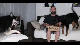 BARKBOX with Extra Toy | May 2021 | Galapagos Unboxing