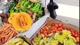 Part 2 of my walk in May Pen Town. Let's go to  the food market. 