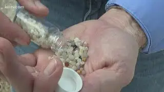Scientist organizing 