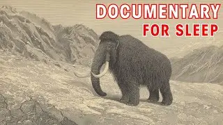 What Was Earth Like During the Ice Age? | Documentary For Sleep