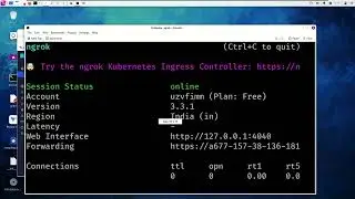 [HINDI] How to access localhost anywhere with ngrok