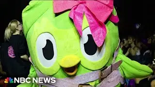 Duolingo owl's death goes viral online