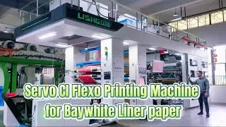 Lisheng Apex Series Servo CI Flexo Printing Machine For paper cup paper box paper bowl finish tested