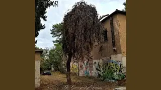 The Hallucinator