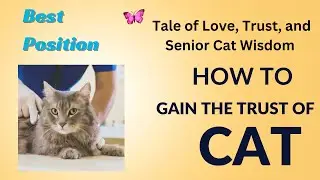 A Tale of Love, Trust, and Senior Cat Wisdom | How to Gain the Trust of a Cat | How to pick up a cat