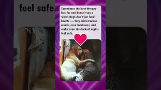 Healing in a Hug: The Silent Power of a Dog&rsquo;s Love