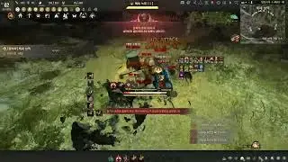 BDO Hexe Succ  Berserker lv2 no agris #blackdesertonline #blackdesert #헥세 #자이