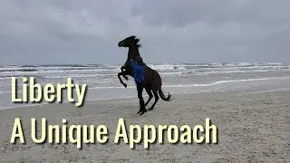 No whips, no ropes, in open spaces, this is the Harmony at Liberty technique