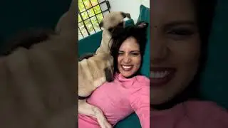 நான் கொஞ்சம் Roughed ஆன ஆளு 🐶 Rocky&nbsp;💥| Panimalar Panneerselvam |#shorts