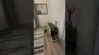 ЖК Shome