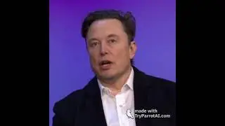 elon's advice on baddies  #elonmusk #baddies #advice #bbl