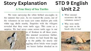 2.2 A True Story of Sea Turtles | Story Explanation | STD 9 English