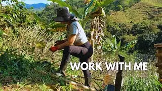 A Simple Slow Living Routine | Daily Life in the Colombian Mountains| Gardening & Cooking