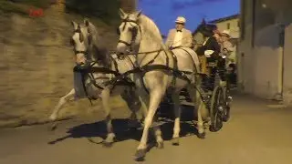 La sfilata delle carrozze con cavalli - secondo giro - Palazzo Canavese 2018
