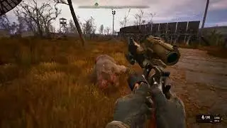 Химера VS MODEL COMPETITOR Экспансивный Патрон Малахит S.T.A.L.K.E.R. 2: Heart of Chornobyl
