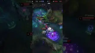 BANGER Herald Fight C9 vs FNC 