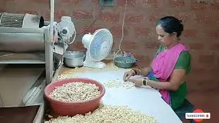 Kaju Factory visit in Kankavali | काजू कारखाना (कणकवली)