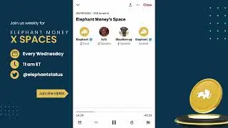 Elephant Money 9/18/24 X Spaces