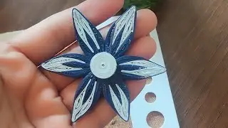 Quilling flower 🌺