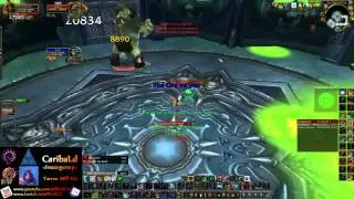 Hunter solo: CaribaLd vs Rotface (10 man heroic)