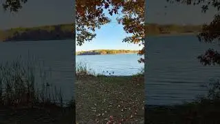 A walk towards the Stony Creek Lake #shorts #nature #stoneycreek #autumn
