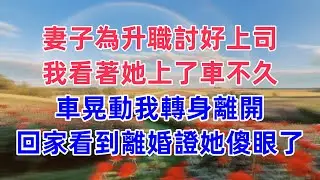 妻子為升職討好上司，我看著她上了車不久，車晃動我轉身離開，回家看到離婚證她傻眼了