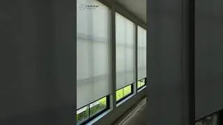 Smart Living with Motorized Blind in 2024