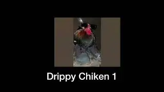 Top 5 Chiken