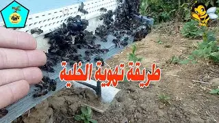 طريقة تهوية الخلية لتخفيض درجة الحرارة داخل الخلية بطريقة بسيطة
