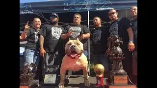The Bull-NA-ChinaShop Podcast Episode 44 Featuring Len Evans